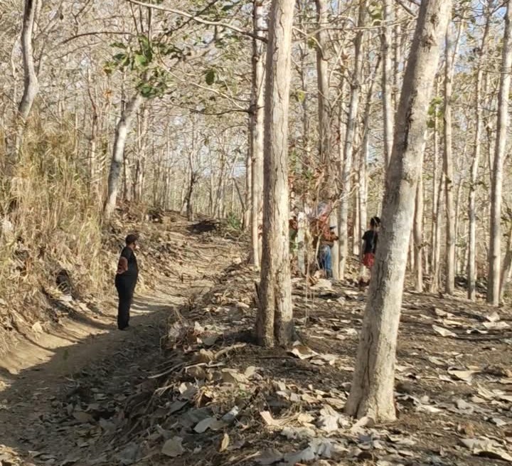 Kabar Baik, Pemerintah Resmi Setujui Pelepasan Lahan Hutan untuk Pemakaman Umum Baru di Dusun Kauman Campurdarat